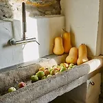 펜션 El Lagar De 루아카