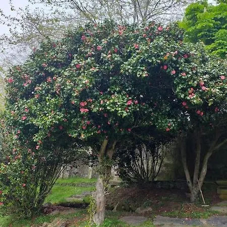 El Lagar De Casa de Férias Luarca