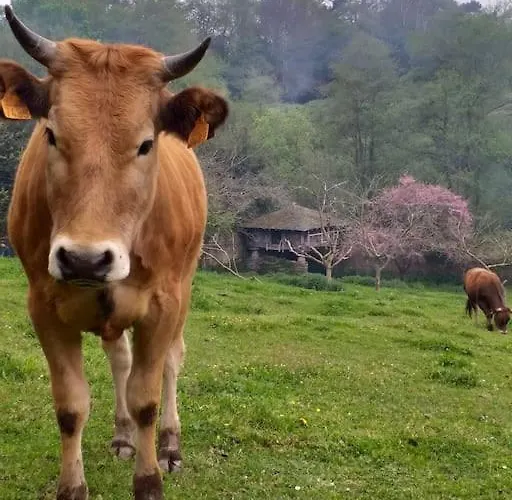 Сasa de vacaciones El Lagar De Luarca