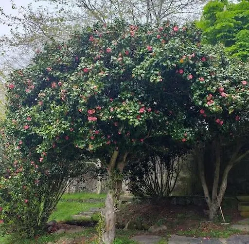 El Lagar De Сasa de vacaciones Luarca